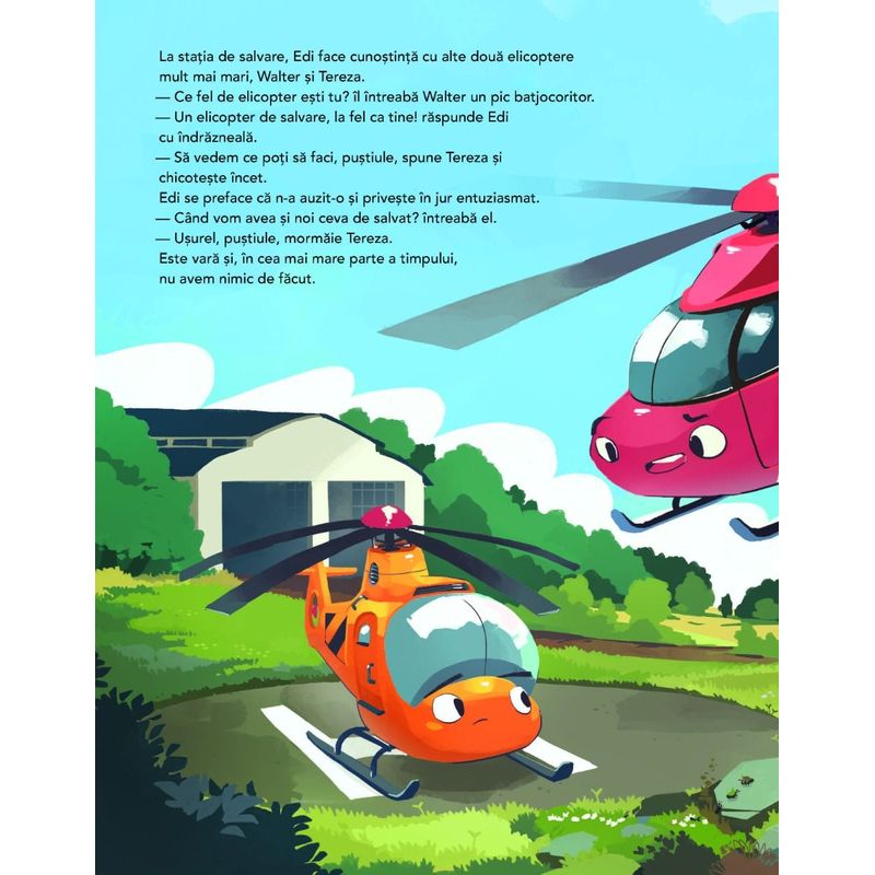 Carti si Birotica - Carti - Carti pentru copii - Basme si povesti - Elicopterul Edi - Infinity.ro