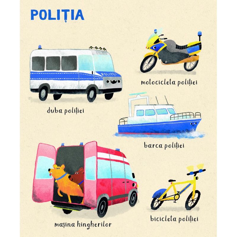 Carti si Birotica - Carti - Carti pentru copii - Carti interactive - Primele mele vehicule - Infinity.ro