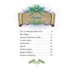 Carti si Birotica - Carti - Carti pentru copii - Basme si povesti - Ucenicul vrajitor. In umbra dragonului rosu,  Anna Taube - Infinity.ro