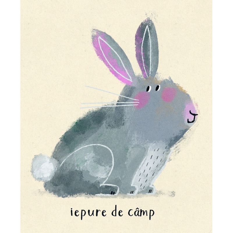 Carti si Birotica - Carti - Carti pentru copii - Carti interactive - Primele mele animale, Anna Süßbauer - Infinity.ro