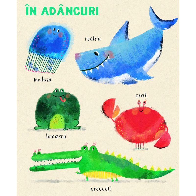 Carti si Birotica - Carti - Carti pentru copii - Carti interactive - Primele mele animale, Anna Süßbauer - Infinity.ro