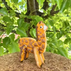 Casa si Gradina - Bucatarie si vesela - Ustensile bucatarie - Infinity.ro