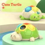 Jucarii, Copii si Bebe - Jucarii si jocuri - Jucarii & jocuri educative - Jucarii interactive - Jucarie interactiva Montessori pentru copii, Dezvoltare Motricitate fina, 18 luni, Broscuta cu buline, multicolor - Infinity.ro