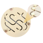 Jucarii, Copii si Bebe - Jucarii si jocuri - Jocuri si puzzle - Puzzle - Puzzle Lemn Labirint in format 3D, Montessori, Fructe, Edujucarii, 3 ani+ - Infinity.ro