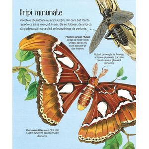 Carti si Birotica - Carti - Carti pentru copii - Infinity.ro