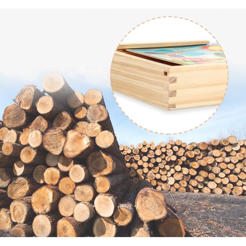 Jucarii, Copii si Bebe - Jucarii si jocuri - Jucarii & jocuri educative - Jucarii interactive - Joc educativ, Puzzle din lemn cu 18 piese inserabile, Graph Intelligence box, 3 ani+, Edujucarii - Infinity.ro