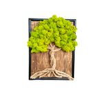 Casa si Gradina - Decoratiuni - Obiecte decorative - Accesorii decorative - Decoratiune interior, copacul vietii cu licheni, 15x20, verde deschis - Infinity.ro