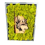 Casa si Gradina - Decoratiuni - Obiecte decorative - Accesorii decorative - Decoratiune interior, tablou cu licheni stabilizati, lup in padure, 34x25, verde - Infinity.ro