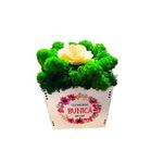 Market - Cadouri - Flori si aranjamente - Aranjament cu licheni naturali stabilizati si begonie, in cutie de lemn, cea mai buna bunica, 10x10 cm, verde - Infinity.ro