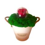 Market - Cadouri - Flori si aranjamente - Aranjament cu licheni naturali stabilizati si trandafir criogenat, galetusa metalica, 20 cm, verde si rosu - Infinity.ro