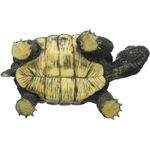 Jucarii, Copii si Bebe - Jucarii si jocuri - Figurine - Broasca Testoasa - Infinity.ro