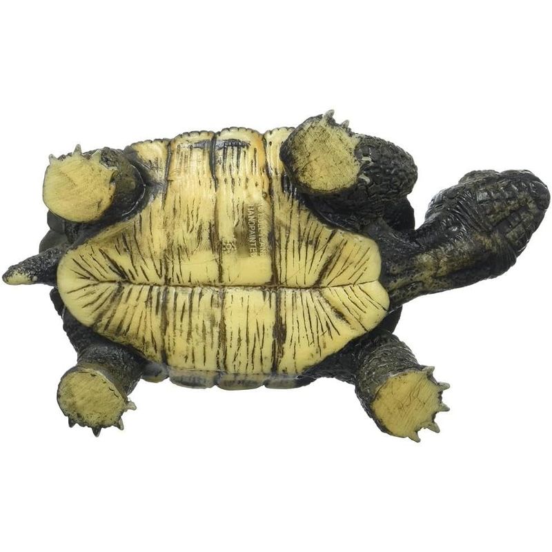 Jucarii, Copii si Bebe - Jucarii si jocuri - Figurine - Broasca Testoasa - Infinity.ro