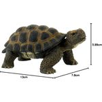 Jucarii, Copii si Bebe - Jucarii si jocuri - Figurine - Broasca Testoasa - Infinity.ro