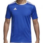 Sport si Outdoor - Echipament Sportiv - Imbracaminte sport - Tricouri sport - Tricou Adidas Entrada 18 pentru barbati, XL - Infinity.ro