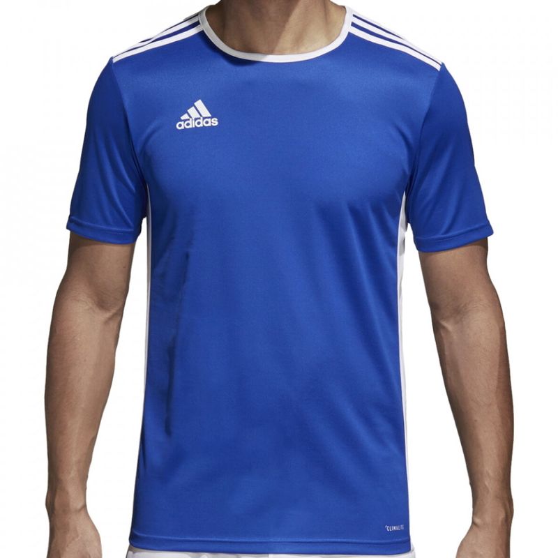 Sport si Outdoor - Echipament Sportiv - Imbracaminte sport - Tricouri sport - Tricou Adidas Entrada 18 pentru barbati, XL - Infinity.ro