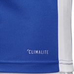 Sport si Outdoor - Echipament Sportiv - Imbracaminte sport - Tricouri sport - Tricou Adidas Entrada 18 pentru barbati, XL - Infinity.ro