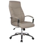 Casa si Gradina - Mobilier - Scaune si fotolii - Scaune - Scaun de birou directorial US62, gri, 61x71x108-116 cm - Infinity.ro