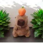 Jucarii, Copii si Bebe - Jucarii si jocuri - Jucarii de plus - Jucarie din plus Capybara, cu dovlecel pe cap, destinata copiilor peste 3 ani, 24cm, culoare maro Cadoul perfect ABYZ - Infinity.ro