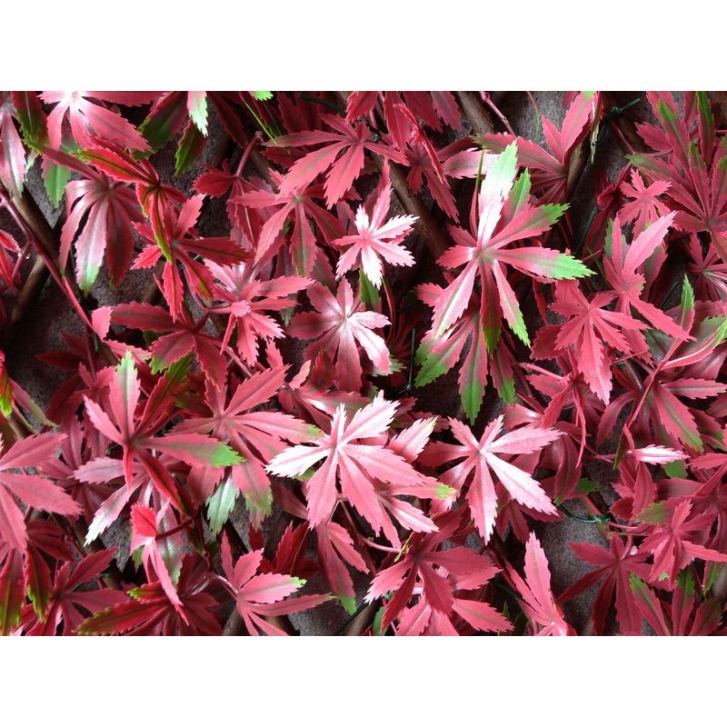 Casa si Gradina - Gradina si terasa - Garduri, panouri si accesorii - Gard artificial Fall, 100x200cm - Infinity.ro