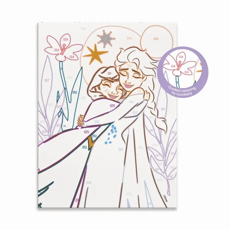 Jucarii, Copii si Bebe - Jucarii si jocuri - Jucarii & jocuri educative - Seturi pictura si desen - Picteaza Si Inrameaza Disney Frozen - Infinity.ro