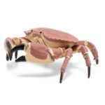 Jucarii, Copii si Bebe - Jucarii si jocuri - Figurine - PAPO Figurina crab - Infinity.ro