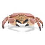 Jucarii, Copii si Bebe - Jucarii si jocuri - Figurine - PAPO Figurina crab - Infinity.ro