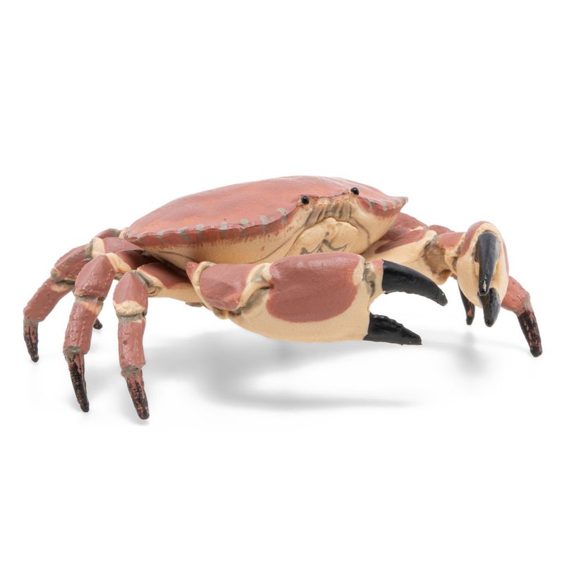 Jucarii, Copii si Bebe - Jucarii si jocuri - Figurine - PAPO Figurina crab - Infinity.ro