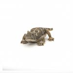 Jucarii, Copii si Bebe - Jucarii si jocuri - Figurine - PAPO Figurina soparla cu coarne - Infinity.ro