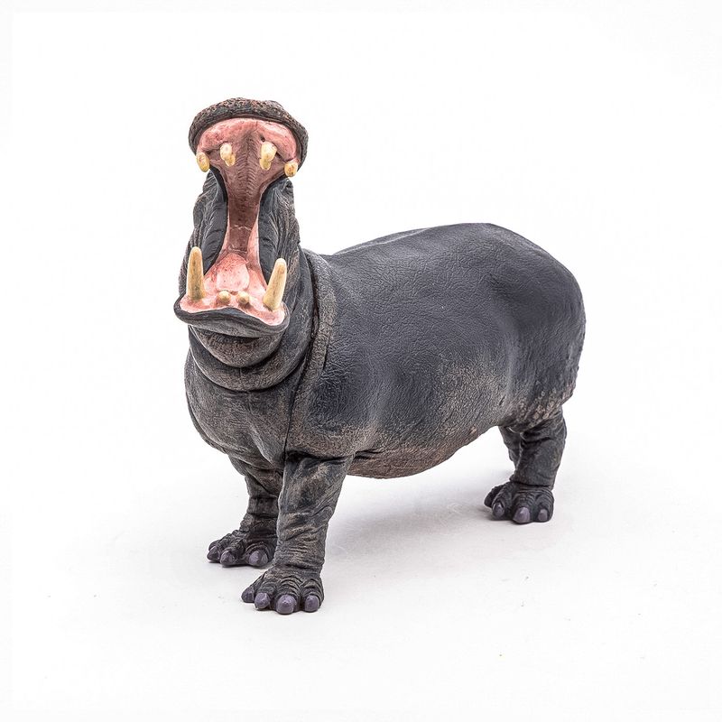 Jucarii, Copii si Bebe - Jucarii si jocuri - Figurine - PAPO Figurina hipopotam - Infinity.ro