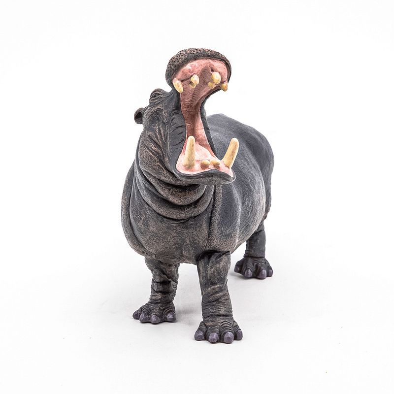 Jucarii, Copii si Bebe - Jucarii si jocuri - Figurine - PAPO Figurina hipopotam - Infinity.ro