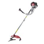 Casa si Gradina - Gradinarit si plante - Utilaje gradina - Coase electrice si motocoase - Motocoasa cu lama si fir Raider RDP-GBC22, 1.5 kW, 2800 rpm - Infinity.ro