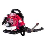 Casa si Gradina - Gradinarit si plante - Utilaje gradina - Aspiratoare, suflante si tocatoare - Suflanta pe benzina 43cc 1.25Kw RD-GB06 - Infinity.ro