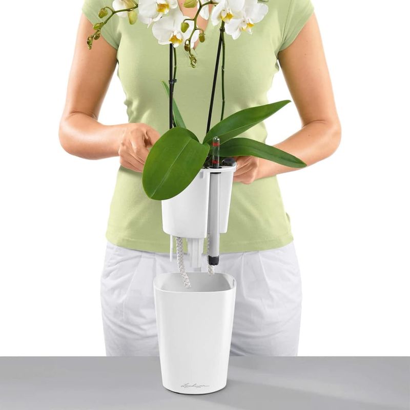 Casa si Gradina - Gradinarit si plante - Plante si ghivece - Ghivece si suporturi - LECHUZA Jardiniera "DELTINI ALL-IN-ONE" alb extralucios - Infinity.ro