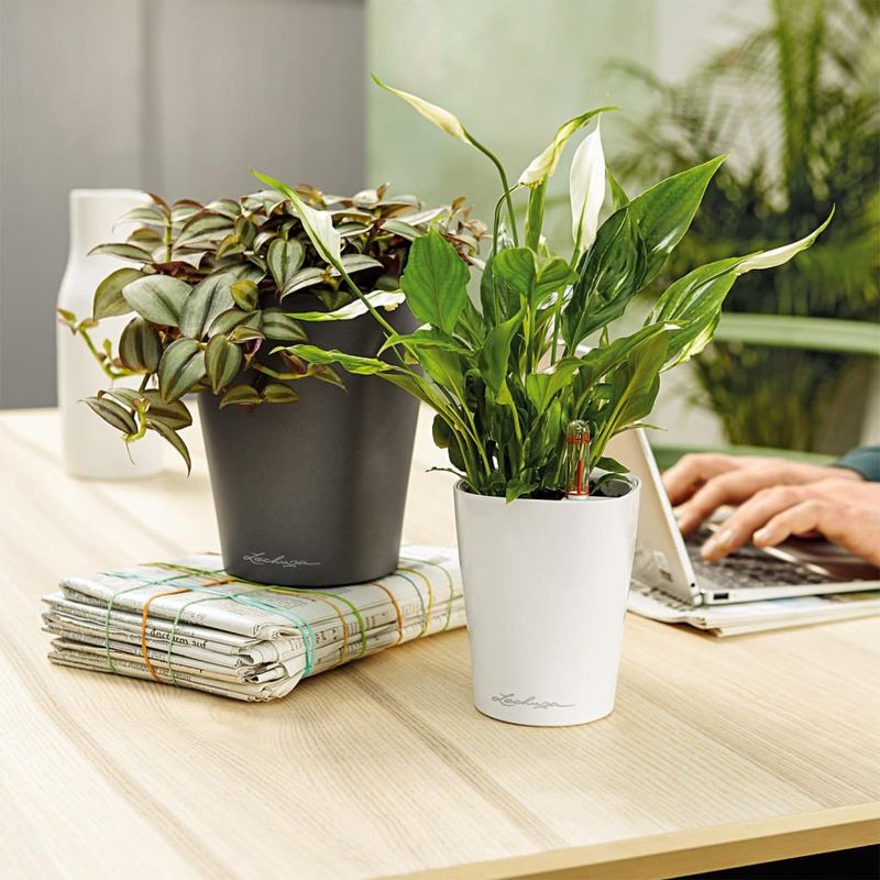 Casa si Gradina - Gradinarit si plante - Plante si ghivece - Ghivece si suporturi - LECHUZA Jardiniera "DELTINI ALL-IN-ONE" alb extralucios - Infinity.ro