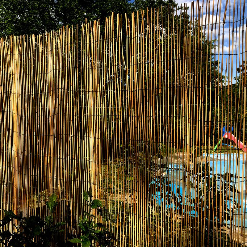 Casa si Gradina - Gradina si terasa - Garduri, panouri si accesorii - Gard/paravan din trestie, 5x1.5 m - Infinity.ro