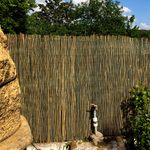 Casa si Gradina - Gradina si terasa - Garduri, panouri si accesorii - Gard/paravan din trestie, 5x1.5 m - Infinity.ro