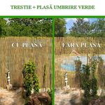 Casa si Gradina - Gradina si terasa - Garduri, panouri si accesorii - Gard/paravan din trestie, 5x1.5 m - Infinity.ro