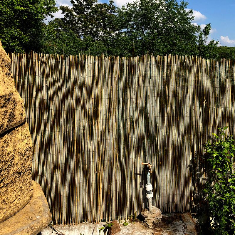 Casa si Gradina - Gradina si terasa - Garduri, panouri si accesorii - Set 2 trestii, 1.5x5 m + Plasa umbrire 90 g/mp, 10x1.5 m - Infinity.ro