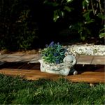 Casa si Gradina - Gradina si terasa - Decoratiuni exterior - Ornamente gradina - Decoratiune gradina, ceramica, broasca cu ghiveci, 35x16x17 cm - Infinity.ro