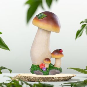 Casa si Gradina - Gradina si terasa - Decoratiuni exterior - Infinity.ro