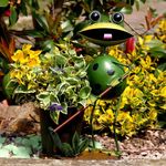 Casa si Gradina - Gradina si terasa - Decoratiuni exterior - Ornamente gradina - Decoratiune gradina, metalica, broasca cu galeata, 23x16x33 cm - Infinity.ro