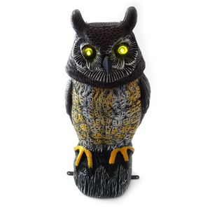 Casa si Gradina - Gradina si terasa - Decoratiuni exterior - Infinity.ro