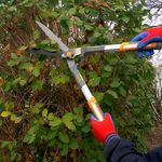 Casa si Gradina - Gradinarit si plante - Unelte gradinarit - Foarfeci gradinarit - Foarfeca gard viu, arbusti, tip bypass, lama teflonata, 59 cm, Richmann Exclusive - Infinity.ro