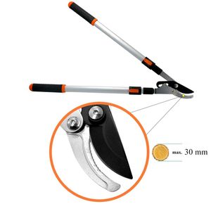 Casa si Gradina - Gradinarit si plante - Unelte gradinarit - Infinity.ro