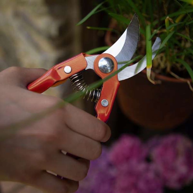 Casa si Gradina - Gradinarit si plante - Unelte gradinarit - Foarfeci gradinarit - Foarfeca Profesionala Mercaton de Gradina, ByPass, pentru Taierea Crengilor, Tufisurilor si alte plante, 22 cm, Rosu - Infinity.ro