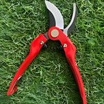 Casa si Gradina - Gradinarit si plante - Unelte gradinarit - Foarfeci gradinarit - Foarfeca Profesionala Mercaton de Gradina, ByPass, pentru Taierea Crengilor, Tufisurilor si alte plante, 22 cm, Rosu - Infinity.ro