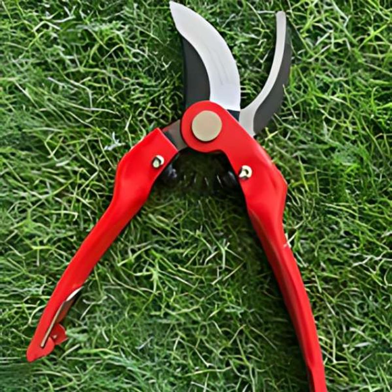 Casa si Gradina - Gradinarit si plante - Unelte gradinarit - Foarfeci gradinarit - Foarfeca Profesionala Mercaton de Gradina, ByPass, pentru Taierea Crengilor, Tufisurilor si alte plante, 22 cm, Rosu - Infinity.ro
