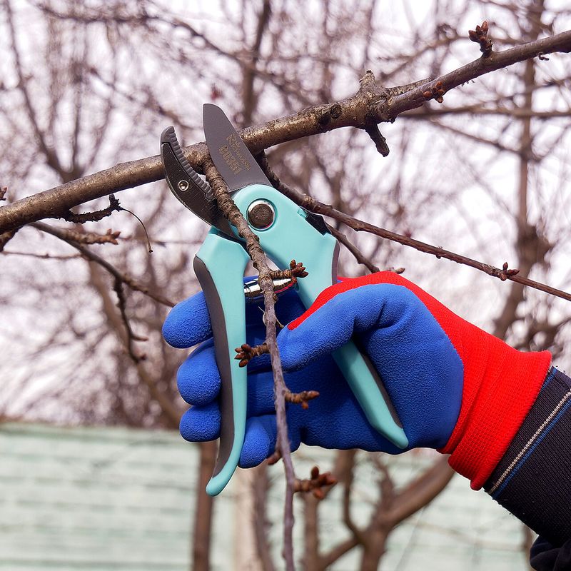 Casa si Gradina - Gradinarit si plante - Unelte gradinarit - Foarfeci gradinarit - Foarfeca gradina, tip nicovala, 20 cm, Richmann - Infinity.ro