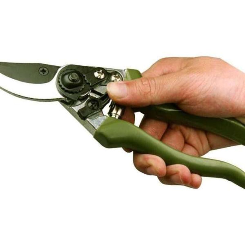 Casa si Gradina - Gradinarit si plante - Unelte gradinarit - Foarfeci gradinarit - Foarfeca Profesionala Mercaton de Gradina, ByPass, pentru Taierea Crengilor, Tufisurilor si alte plante, 21.5 cm, Rosu - Infinity.ro