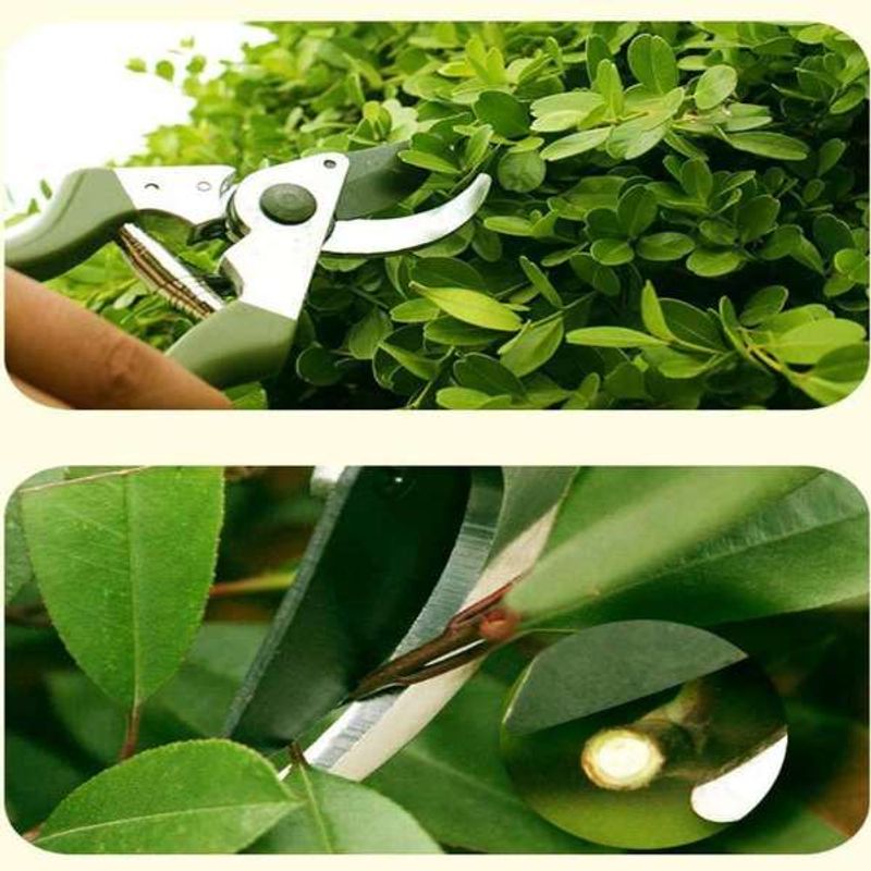 Casa si Gradina - Gradinarit si plante - Unelte gradinarit - Foarfeci gradinarit - Foarfeca Profesionala Mercaton de Gradina, ByPass, pentru Taierea Crengilor, Tufisurilor si alte plante, 21.5 cm, Rosu - Infinity.ro